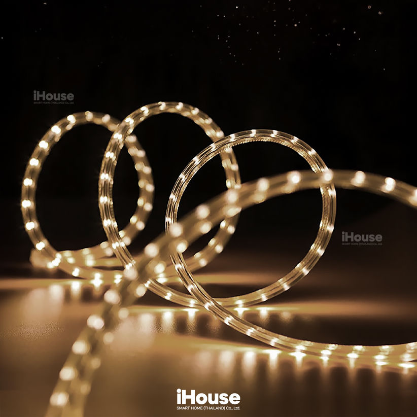 Standard Led Strip Light