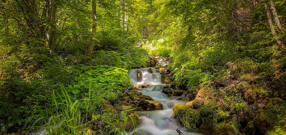 Wasserfall.jpg
