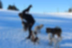 photo femme chien vue montagnes neuchatel neige
