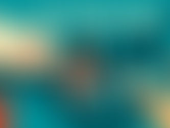 The TikTok Shop Guide: Unlocking Success in 2026