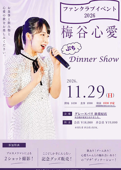 11月29日-修正版チラシ(1022ver).jpg