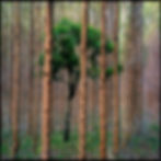 Sufocamento #2
