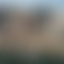 YOUR SUMMER IN BOSTON WITH EUCA- NEW DEADLINE!