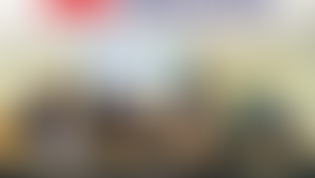 Découvrez Climate Ambassadors !