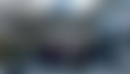 EucA students in the Public Health Study Visit