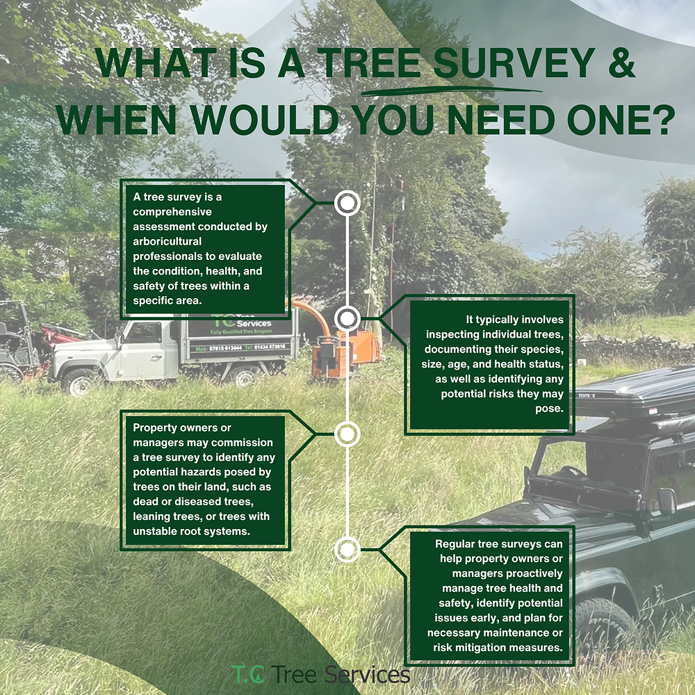 Tree Questionnaire What is a tree survey & when would you need one?