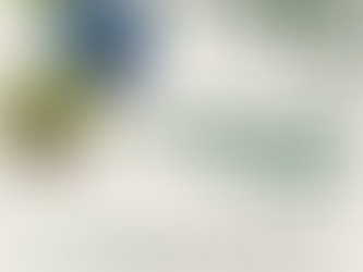 š² Why Trees Drop Branches in Summer (Even Without Wind)