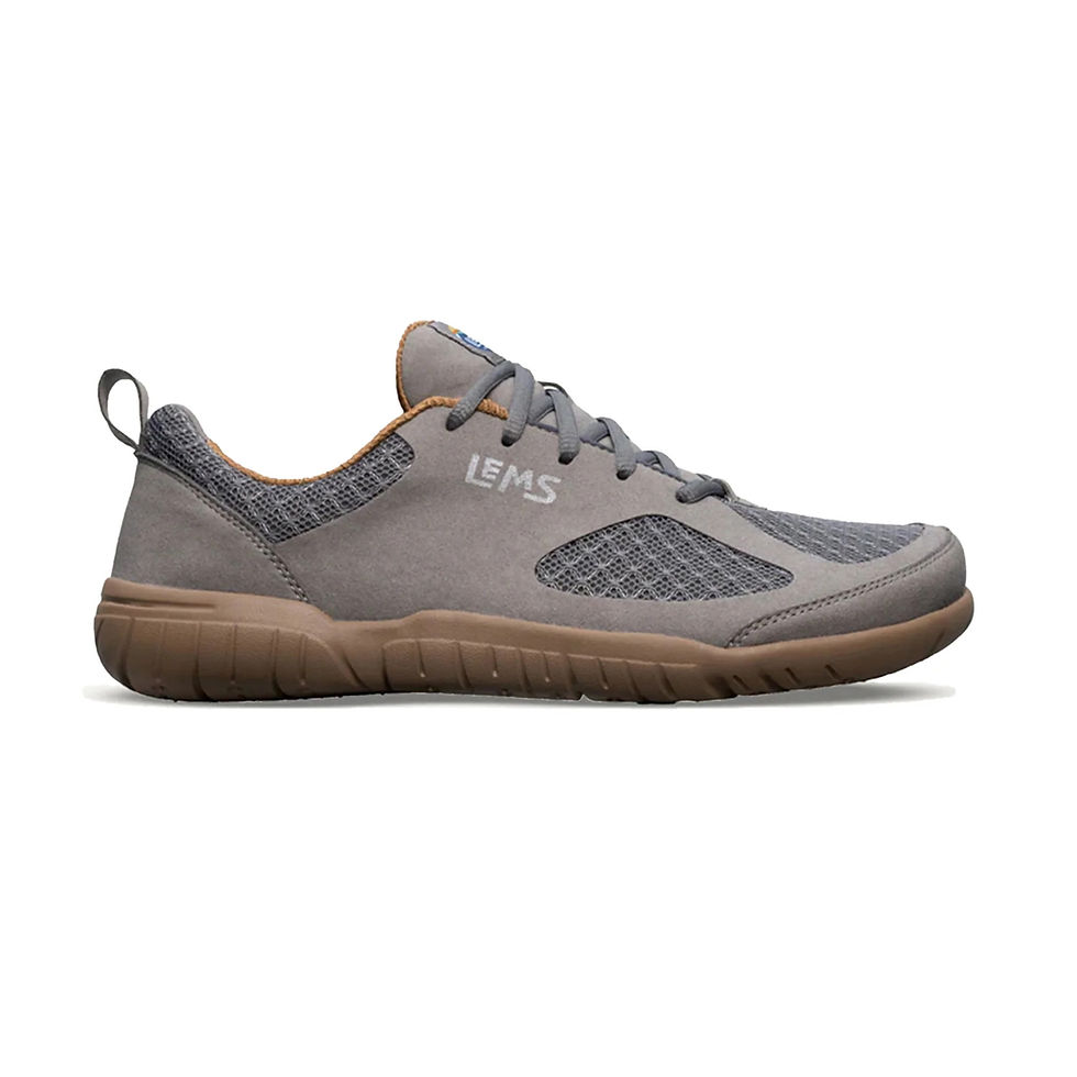 LEMS / PRIMAL 3 (Slate)