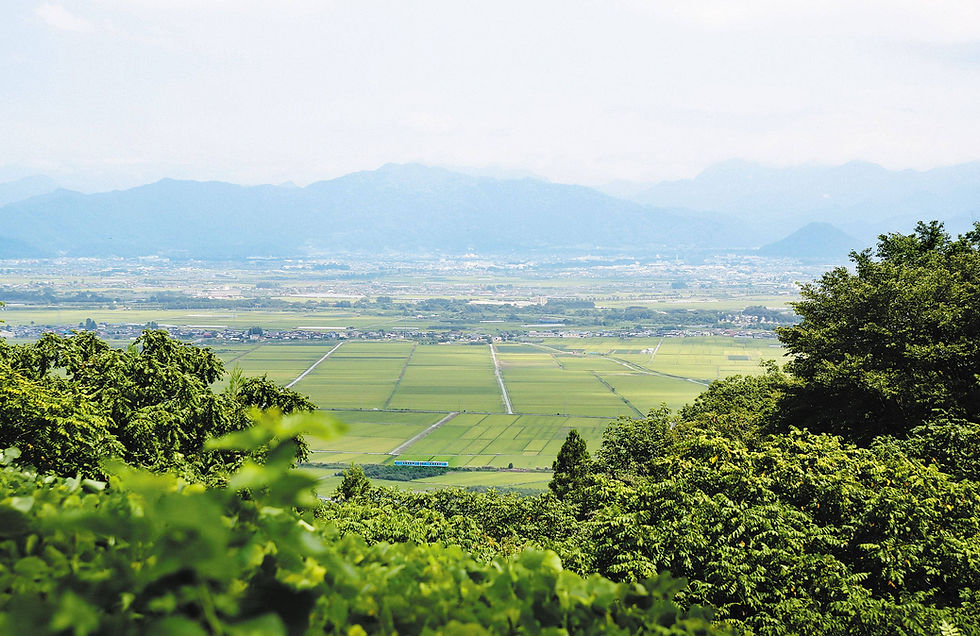 米冨繊維の本社工場がある山形県山辺町の田園風景