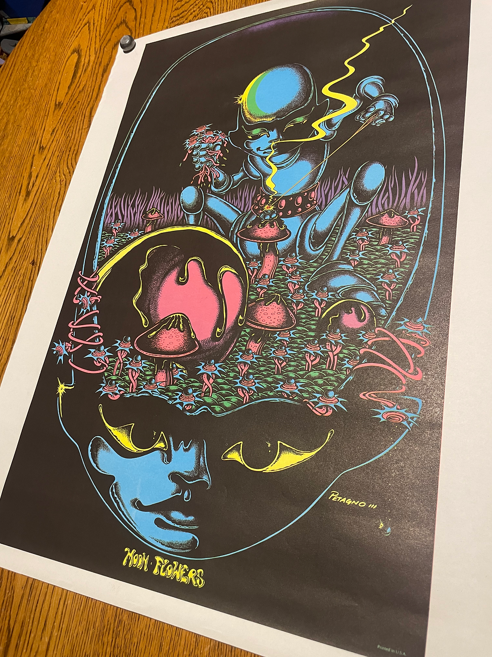 Miniaturbild: Original vintage blacklight poster 20”x27”