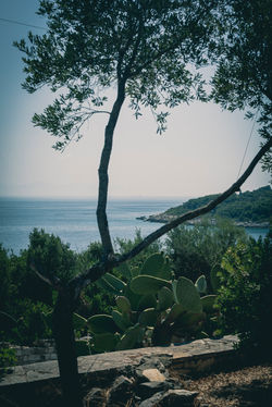 Villa Teti Nereidi Paxos