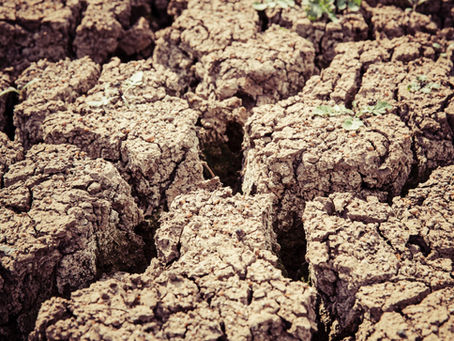 Deficitul de apă în sol în contextul anului agricol 2020/2021