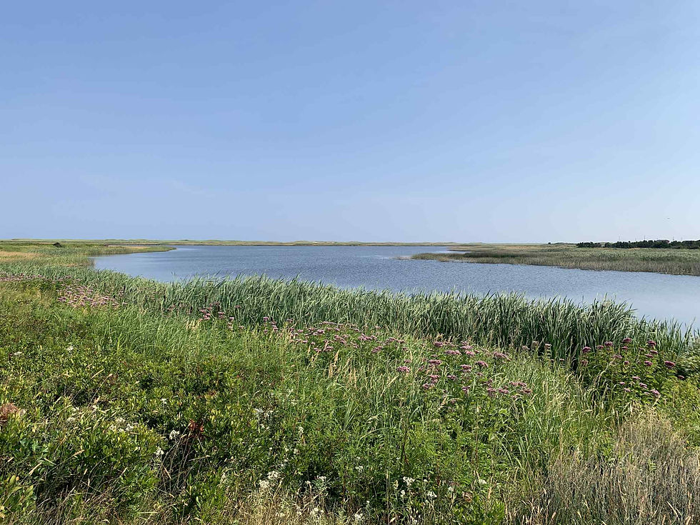 Rallye sur les milieux humides et hydriques