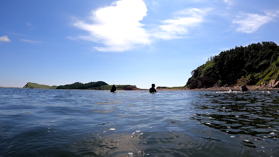 Visite en apnée des plans d’eau intérieurs – Lagune de la Grande-Entrée