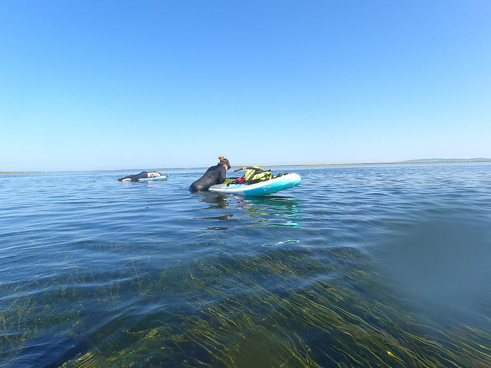 Visite en apnée des plans d’eau intérieurs – Baie du Havre-aux-Basques