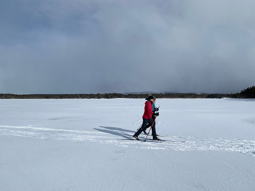 Ski de fond sur la baie du Havre-aux-Basques