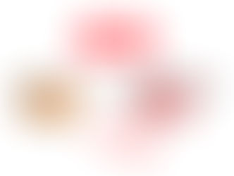 MÜLLER REBRAND