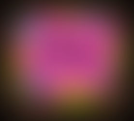 Worried someone has dementia?