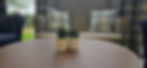 an image of two house plants in yellow pots on a wooden table in the lounge of Shedfield Lodge Dementia Specialist Care Home near Wickham 