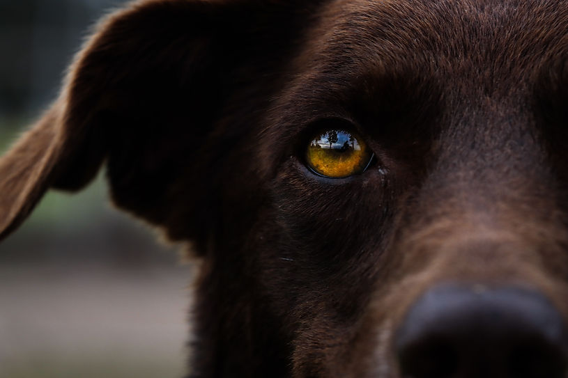 Focus.jpg