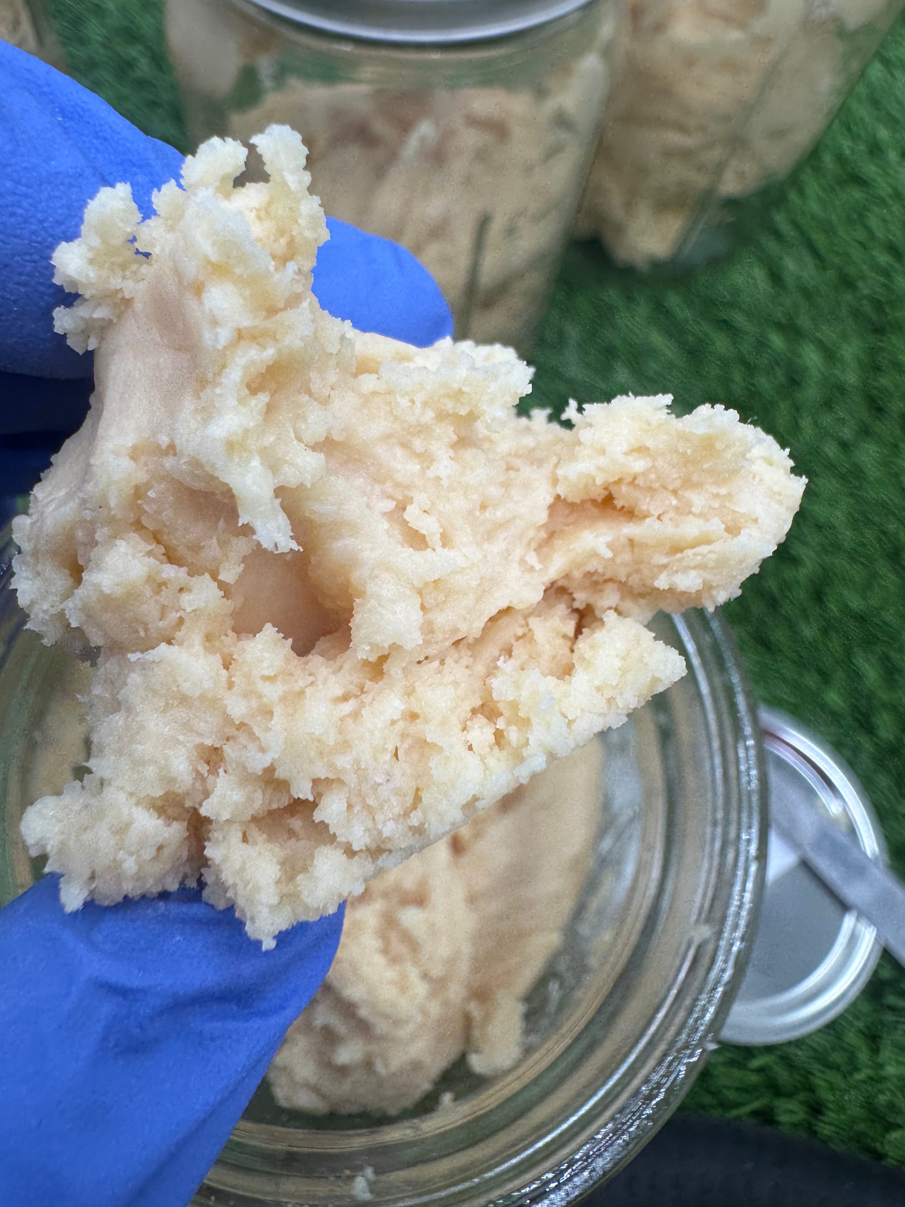 Maine Budders - lemon cookies $85 ozes 