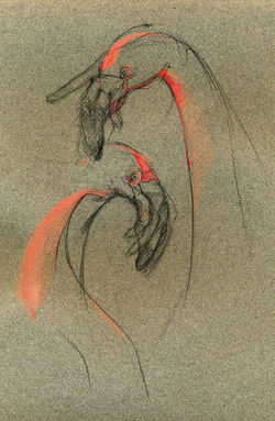 Flamencos. Grafito y Guache