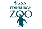 EZ logo.png
