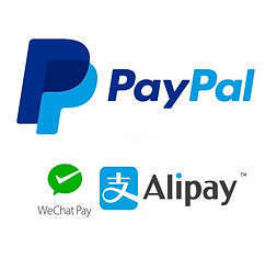 International Online Payment