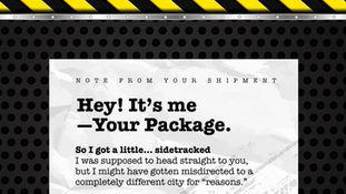 Confessions of a Slightly Traumatized, Lost and Delayed Shipment