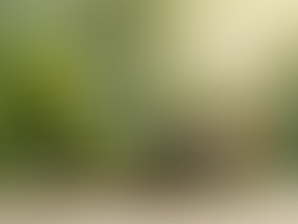 Climate Compliance & Carbon Accounting for Logistics in NZ & AUS