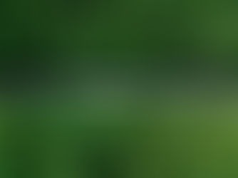 How Climate Compliance Quietly Reshapes Logistics Networks