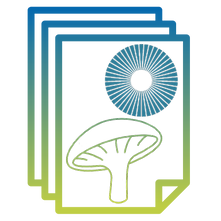 Flaticon_Spore Print_Draft 8.png