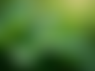 The Role of Nature in Healthy, Glowing Skin – with Senses Mind & Body