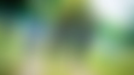 Step right up for this year’s Walk Leicester Festival