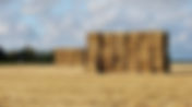 Operation Clock aims to prevent fires during the harvest season