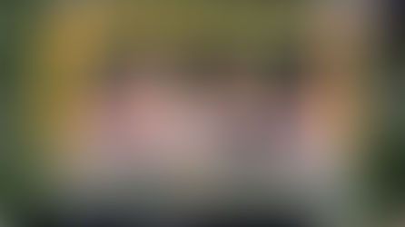 Cosby Primary School has become a part of the bee-volution