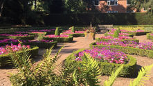 Community Festival to bring live entertainment and family fun to Leicester Botanic Garden