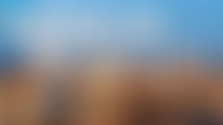 Have your say... Climate emergency