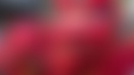 Leicester is set to celebrate Chinese New Year this weekend