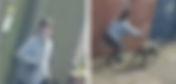 Image issued after two children injured by a dog in West Leicester