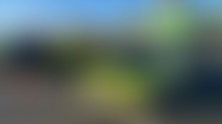 December drink drug drive campaign launch