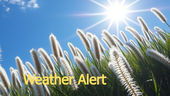 Safety tips for dealing with high temperatures from the sun today in Leicestershire
