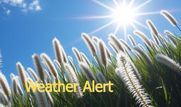 Safety tips for dealing with high temperatures from the sun today in Leicestershire