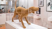 Four-legged friends in the frame at city art exhibition