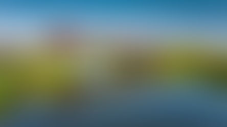 Christmas disruption affecting travel – check before you travel.