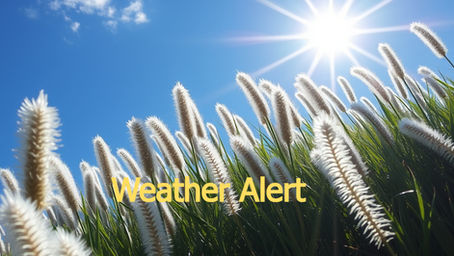 The UK Health Security Agency issues yellow heat-health alerts across our area