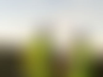 Charte chantier écoresponsable : l’engagement RSE de GECI Ingénierie pour des chantiers durables