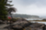 Seaside Solace - Indian Point Blagden Preserve