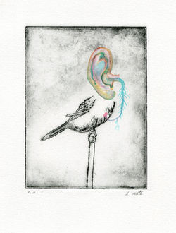 Birds of everyday #1 D Vaute