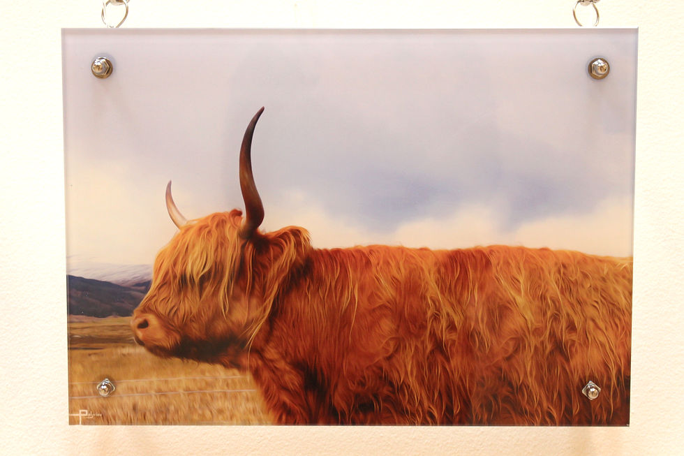 HIGHLANDER